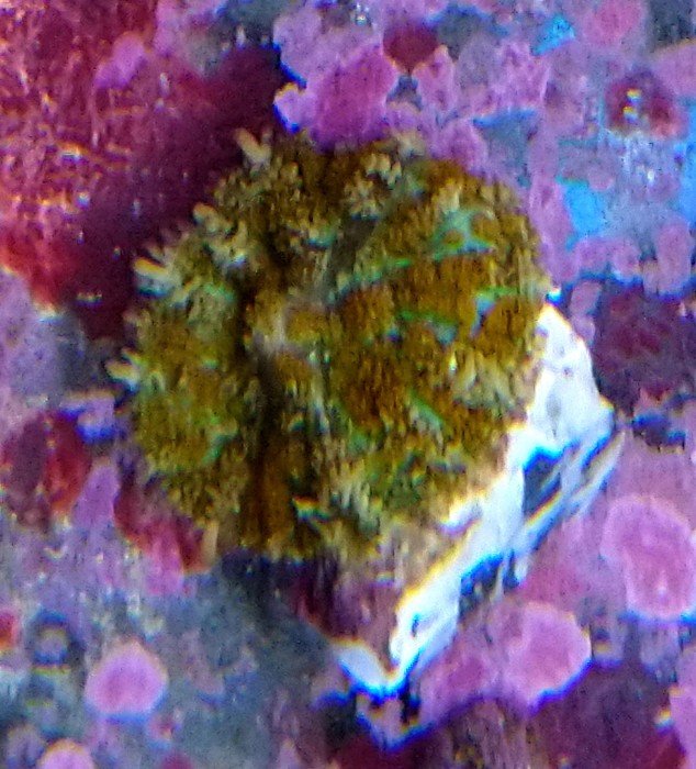 DSC_0434.JPG
