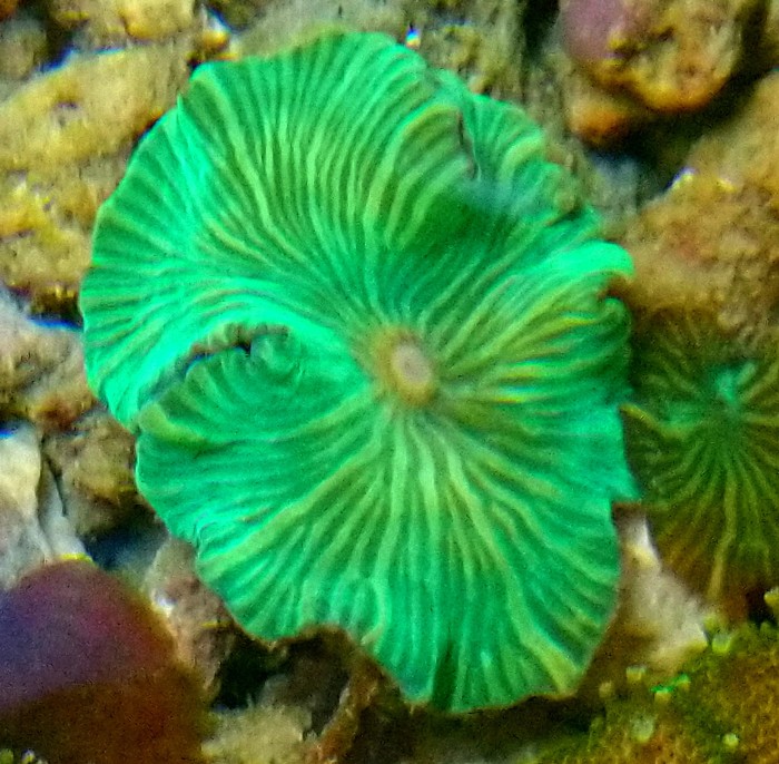 DSC_0448.JPG