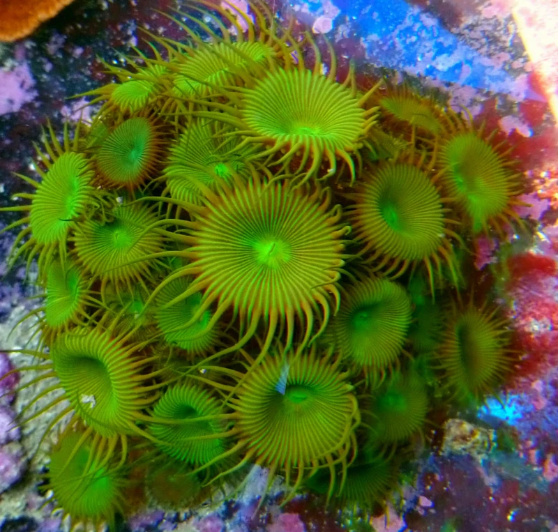 DSC_0451.JPG