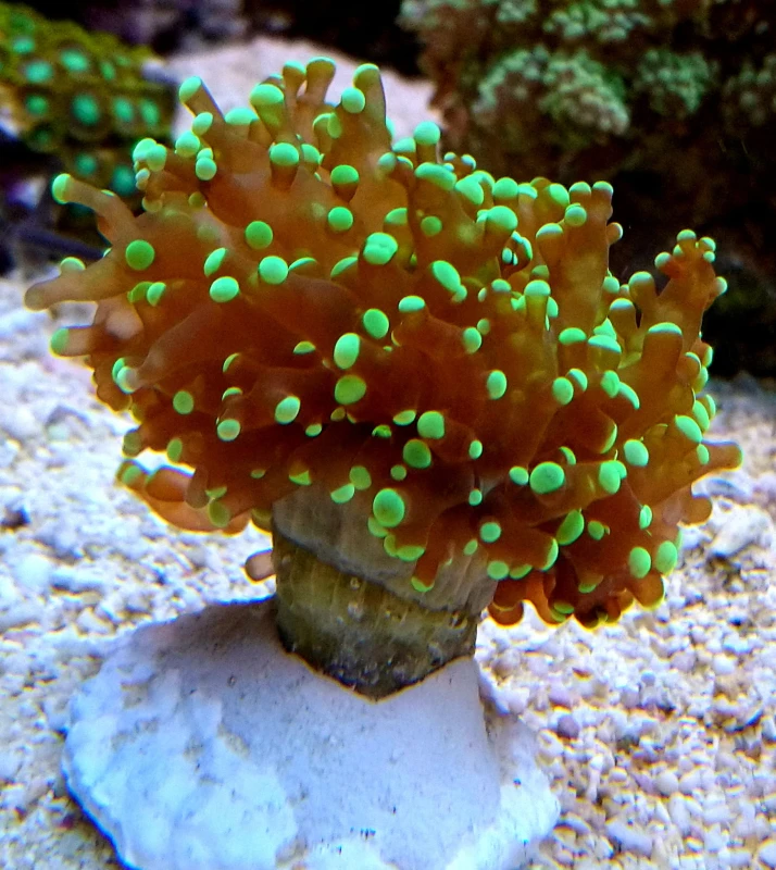 DSC_0648.JPG