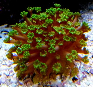 DSC_0632.JPG