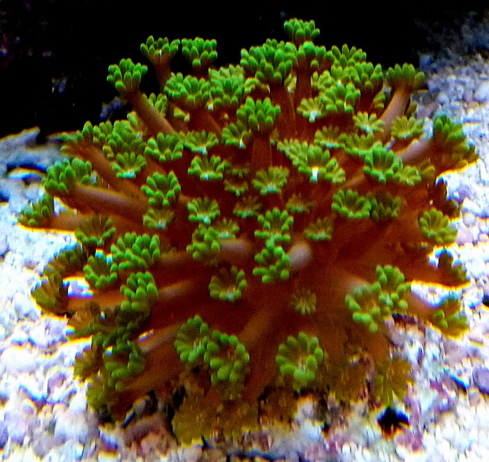 DSC_0632.JPG
