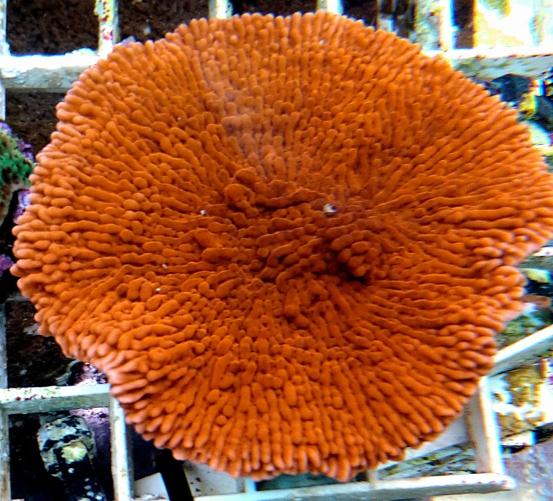 DSC_0620.JPG