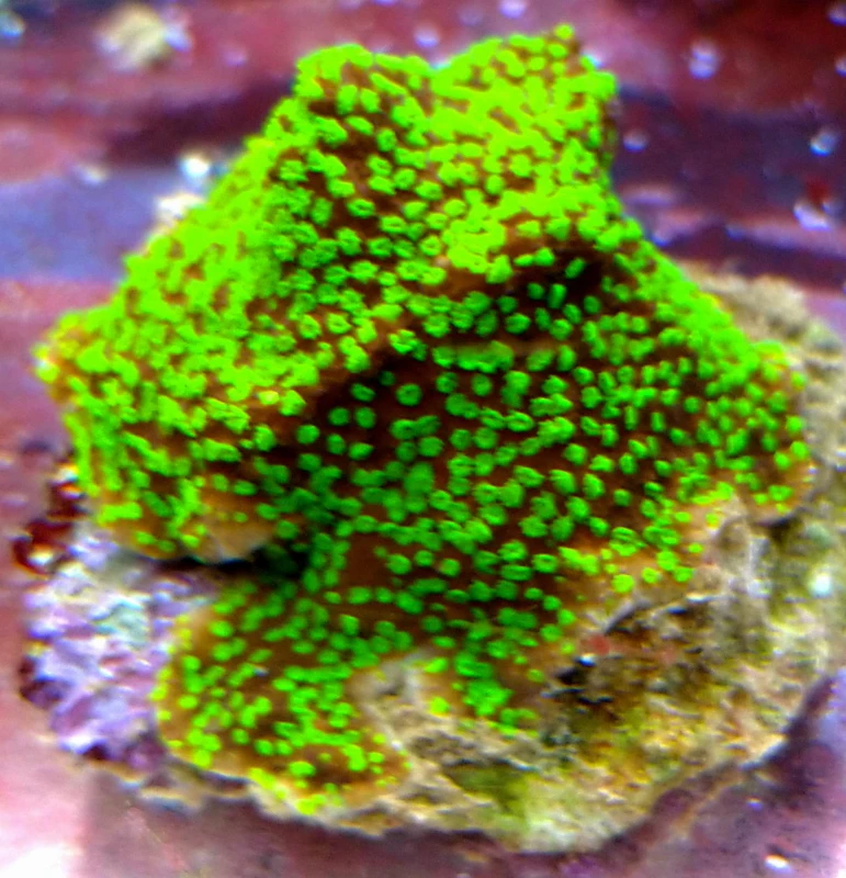 DSC_0618.JPG