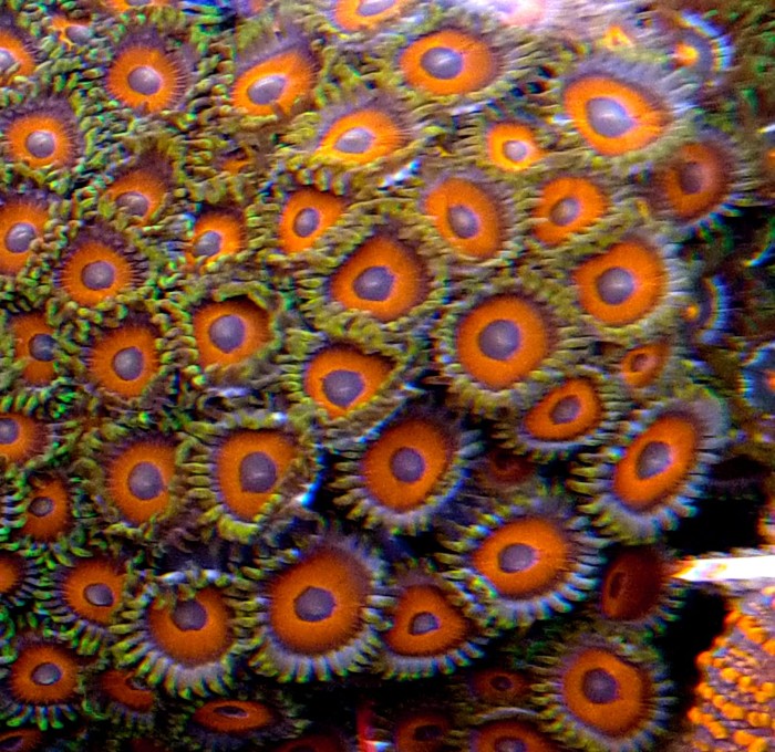 DSC_0595.JPG