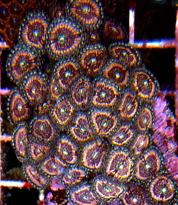 DSC_0573.JPG
