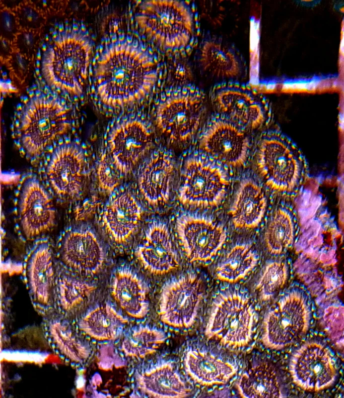 DSC_0573.JPG