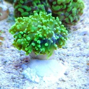 20250414_154646.jpg