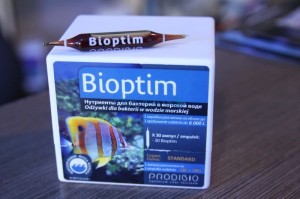 Prodibio Bioptim ampułka 1szt.