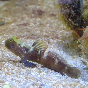 IMG_20250826_093113.jpg