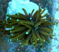 DSC_2188.JPG