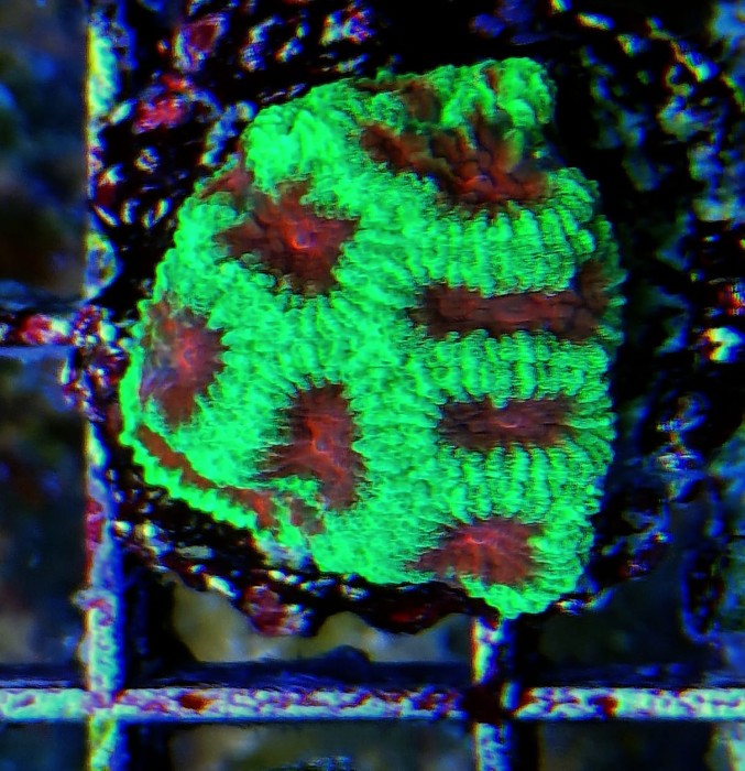 20251026_144714099.JPG