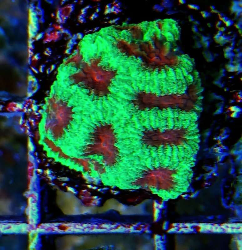 20251026_144714099.JPG