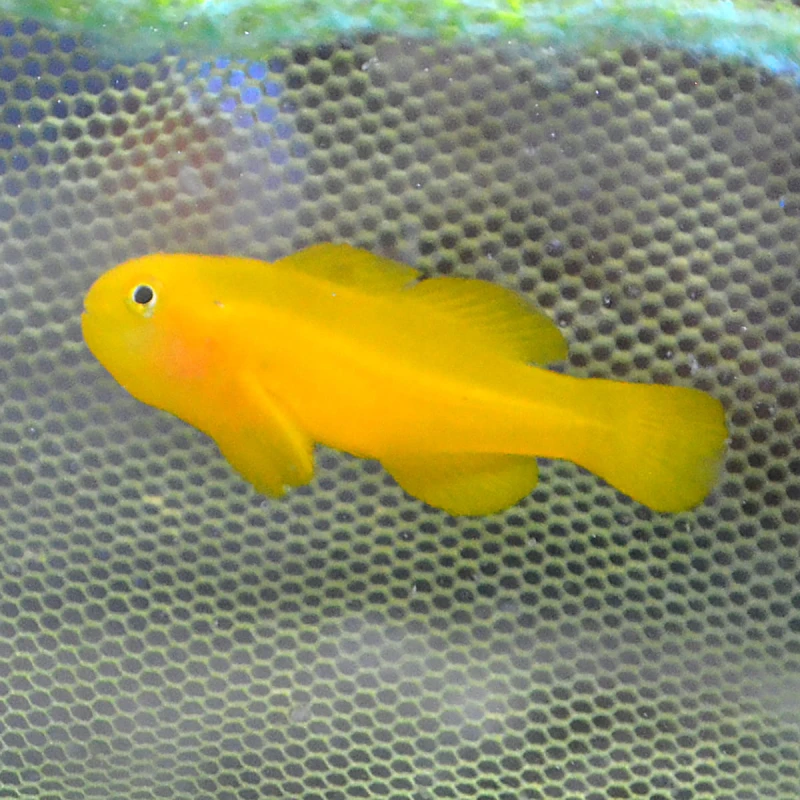DSC_0271.jpg