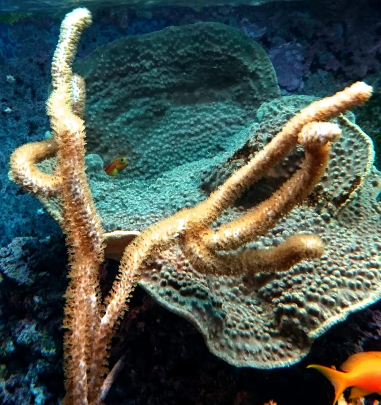 DSC_0555.jpg