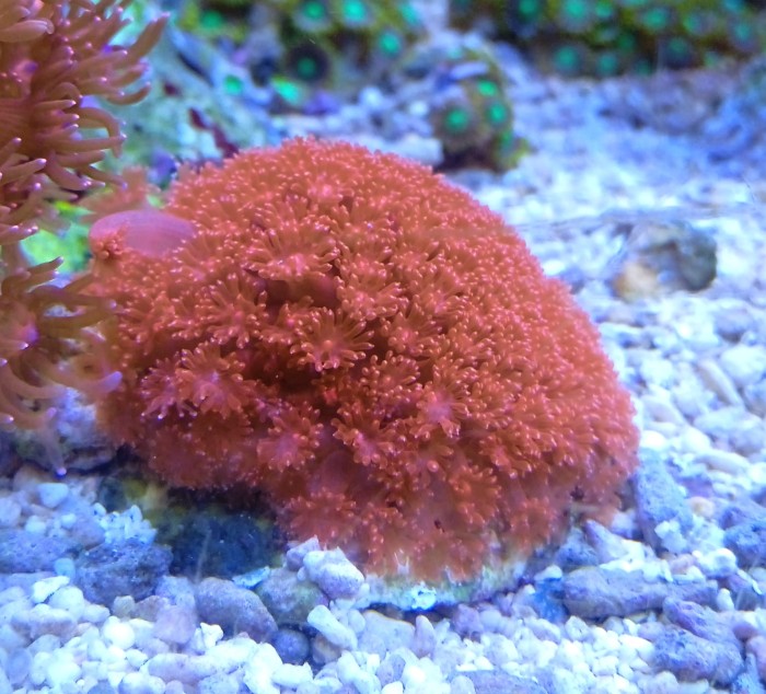 IMG_20260210_131518.jpg