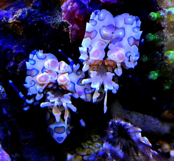 20260314_140214990.JPG
