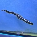 VideoCapture_20250314-123542.jpg