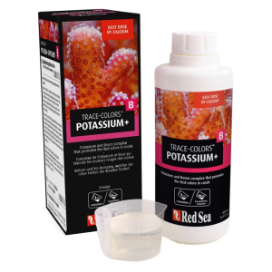 Coral colors B 500ml