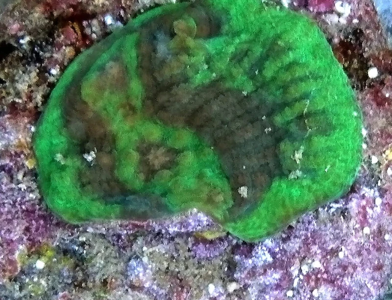 DSC_0168.JPG