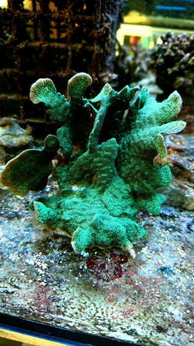 DSC_0203.JPG
