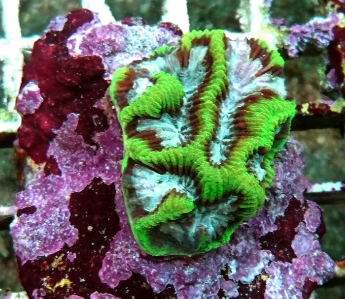 DSC_0209.JPG