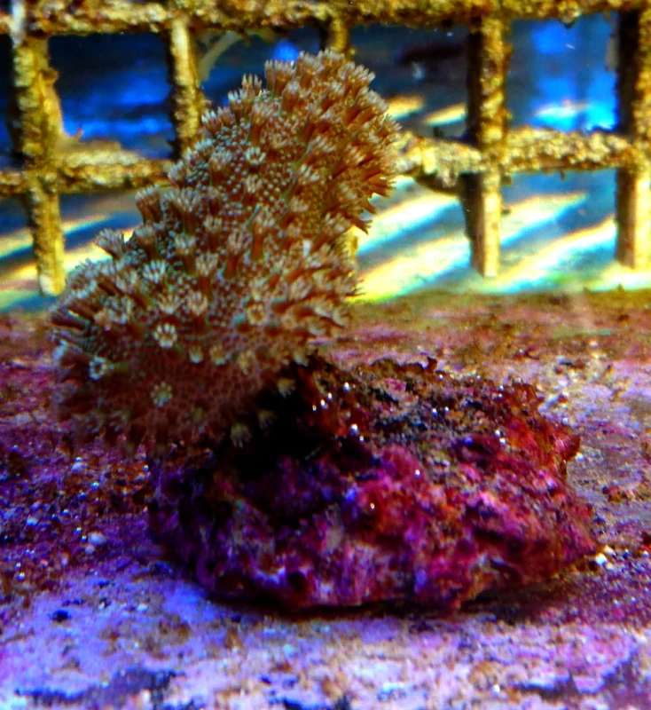 DSC_0956.JPG