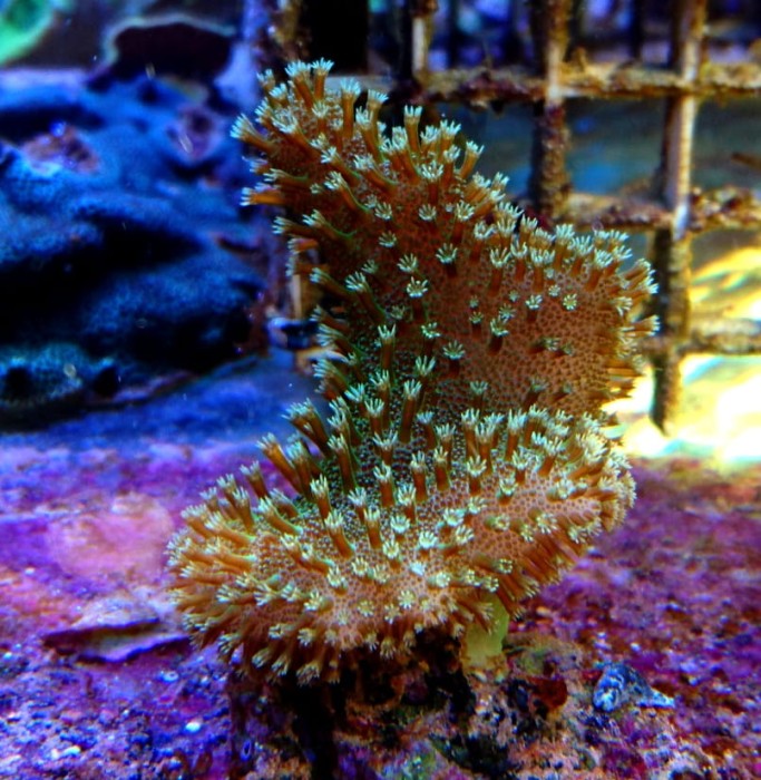 DSC_0954.JPG