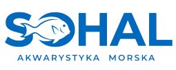Shoper demo - strona główna